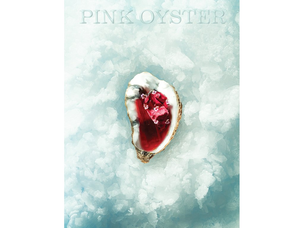 Pink Oyster