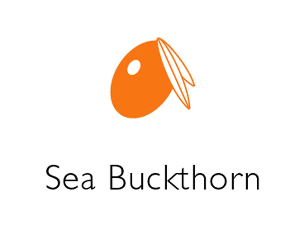 Havtorn Juice 100% 2,25 L Økologisk