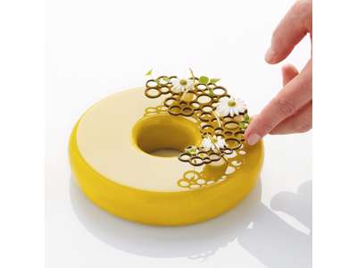 Silikoneform Pavodecor Circles 1 PR004
