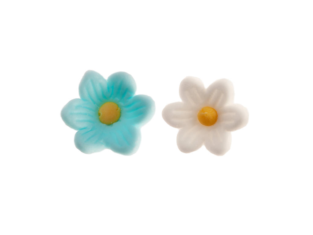 Sukkerblomster hvid og turkis