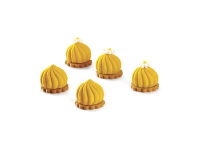 Silikoneform Pavoni Delice PX4324