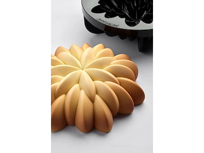 Silikoneform Pavocake Éclat KE108