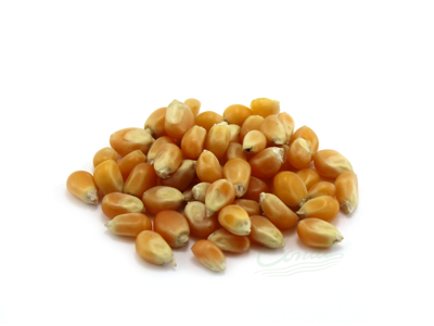 Popcorn 1 kg