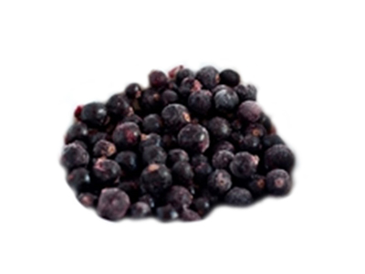 Frosne Solbær Økologiske 1 kg