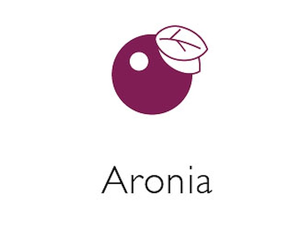 Aronia Juice 2,25 L Øko
