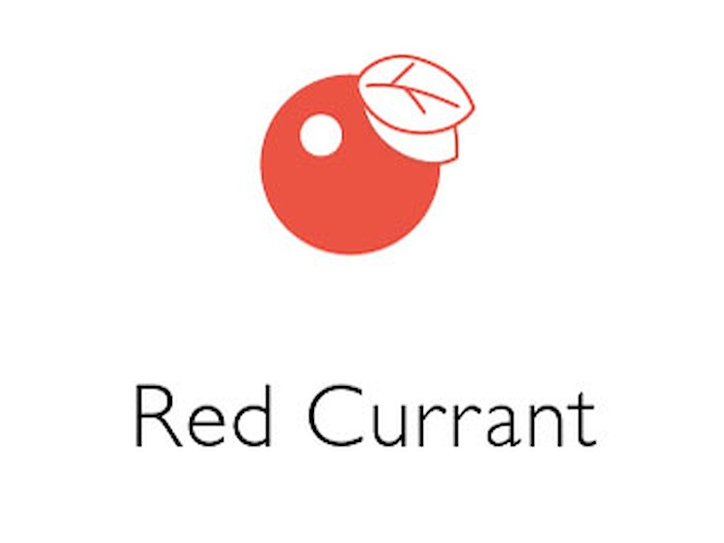 Ribs Juice 100 % 2,25 L Øko