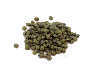 Puy linser økologiske 1 kg