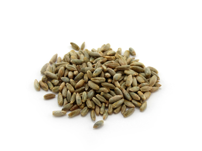 Rugkerner hel Biodynamisk Øko 5 kg